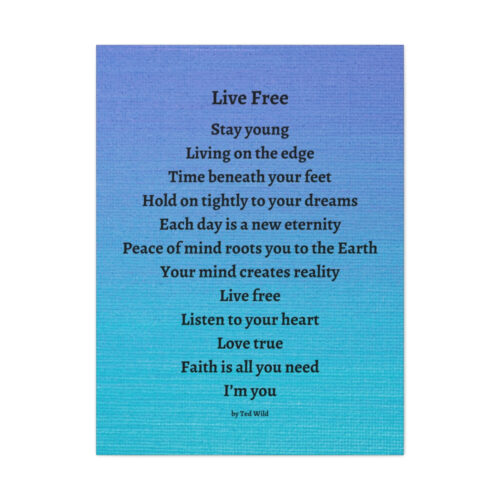 Live Free - canvas - textured blue - Image 18
