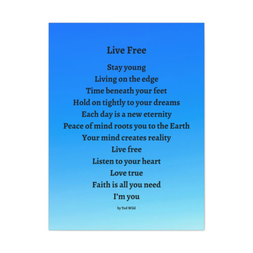Live Free - canvas - blue gradient - Image 14