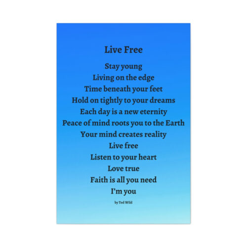 Live Free - canvas - blue gradient - Image 17